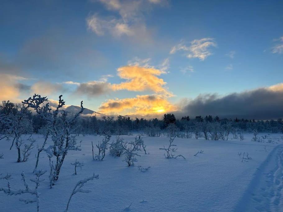 Leilighet I Rolig Gate Med Utsikt Og Gratis Parkering Tromso Exterior photo